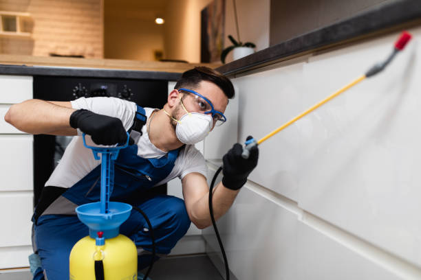 Best Wildlife Control Services  in Sacred Heart University, CT