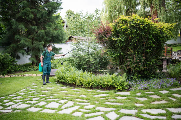 Best Best Pest Control Companies  in Sacred Heart University, CT