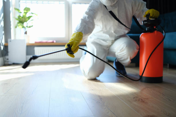 Best Local Pest Control Services  in Sacred Heart University, CT