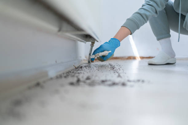 Professional Pest Control in Sacred Heart University, CT